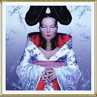 ビョーク　bjork ポスター 541ec46c317352f13c10d315ece9ab